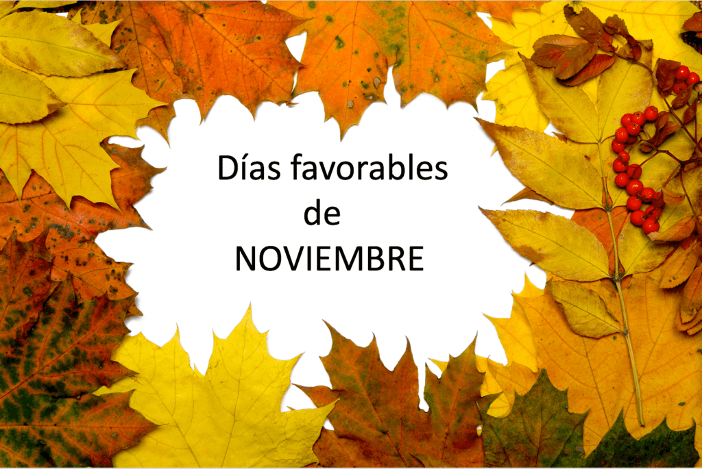 Días Favorables de Noviembre 2018 según el Feng Shui