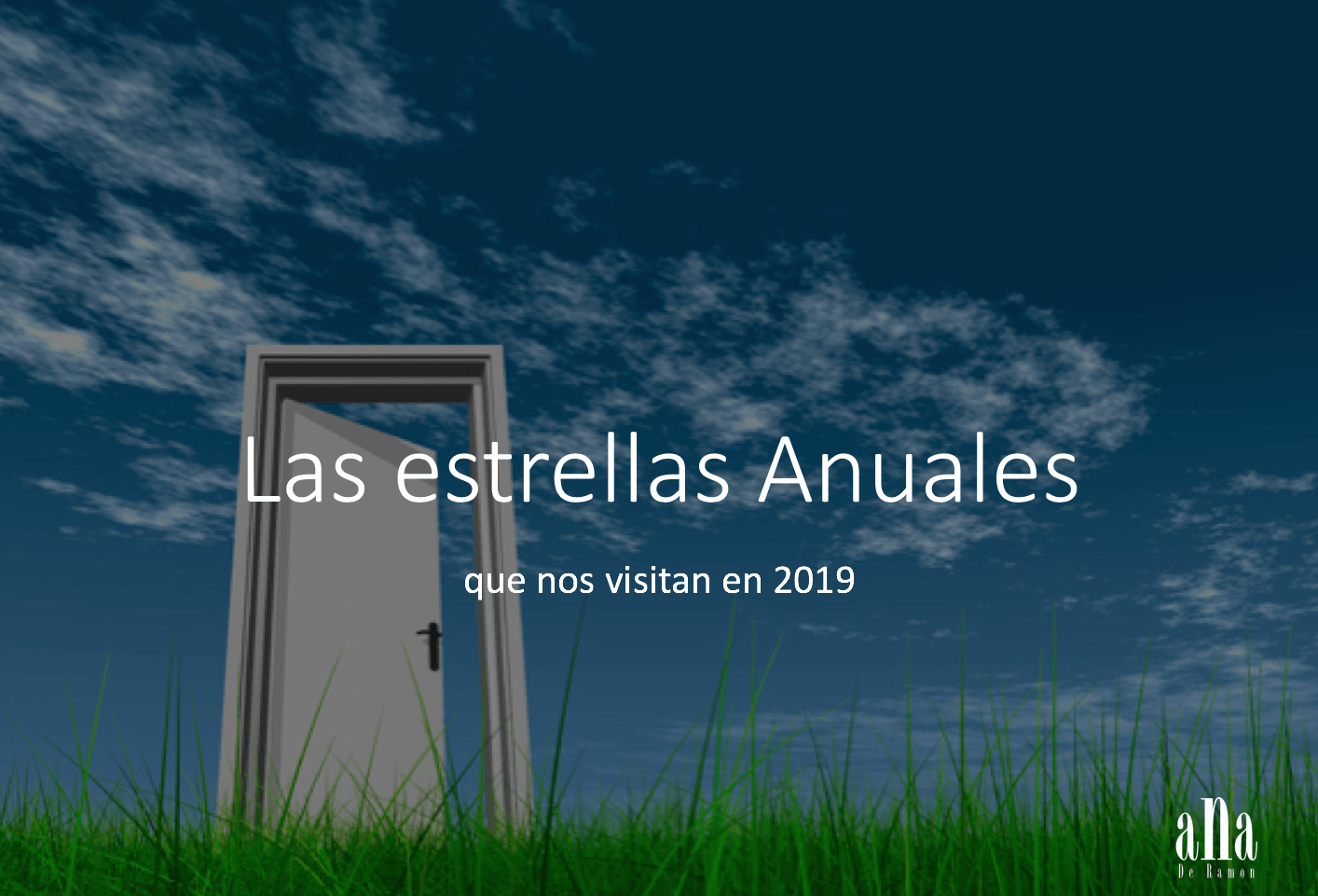 Estrellas Voladoras 2019
